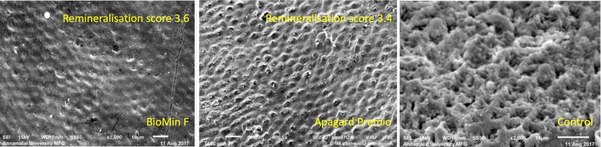 Apagard Alternative BioMin F