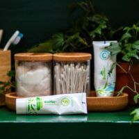 Vegan remineralising toothpaste